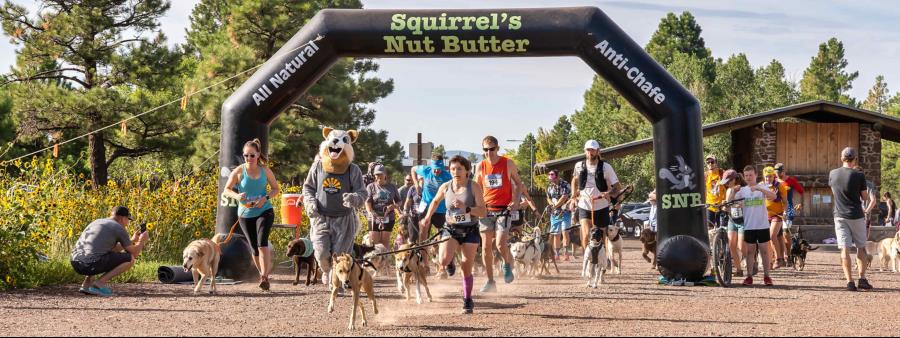 Flagstaff Doggie Dash & BuffaLoops Ultra Logo