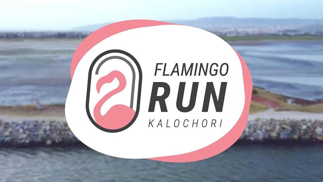 Flamingo Run 2026