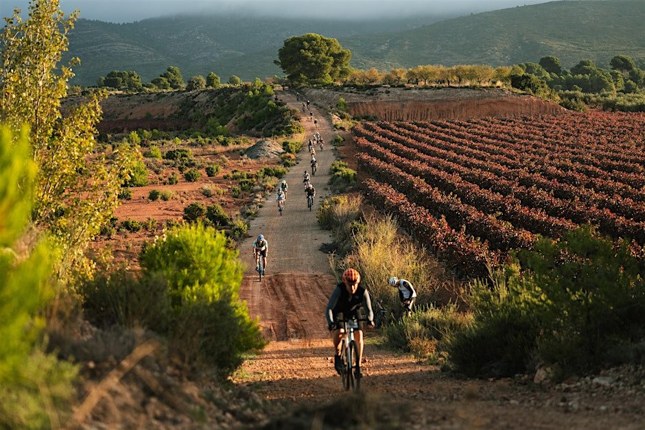 FOCUS Demo Days Wineland Logo