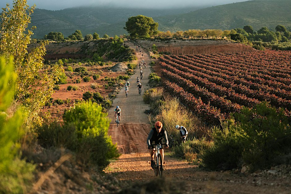 FOCUS Demo Days Wineland
