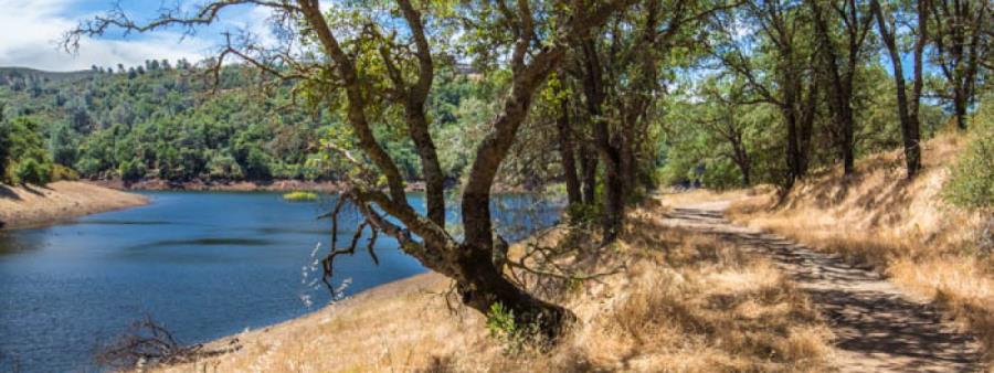 Folsom Lake Sweetwater Trail Run Logo