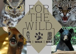 For The Wild 5K/10K+ Logo