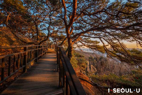 Gaehwasan Mountain Trail Run Logo
