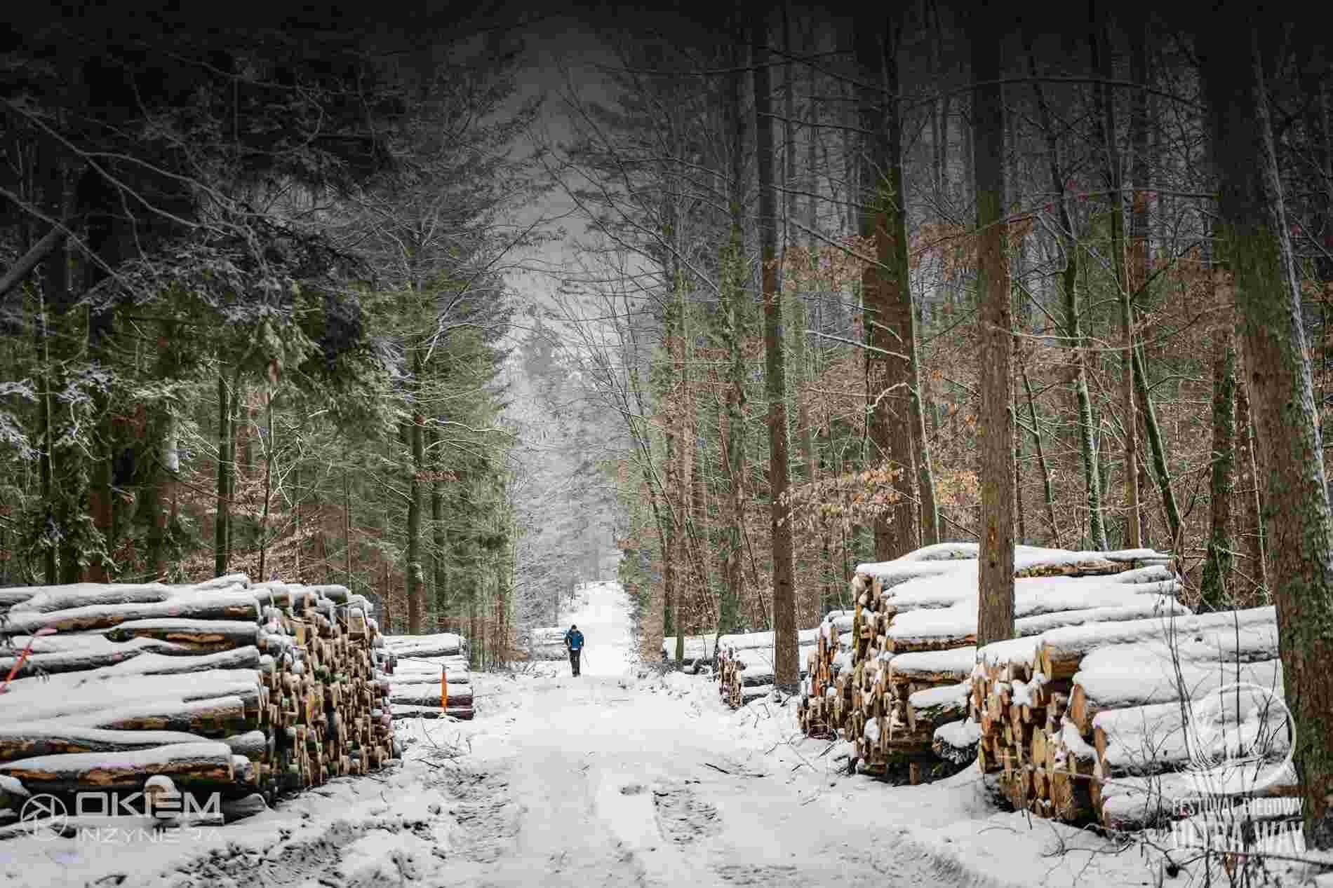 Gdynia Ultra Way - Winter Race Logo