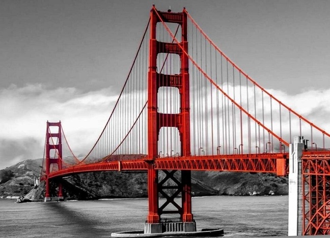 Golden Gate Bridge Half 13.1, 10k, 5k
