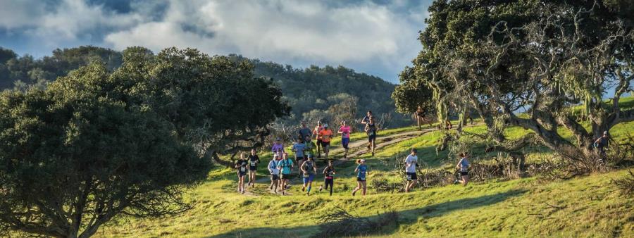 Golden State Trail Run Logo