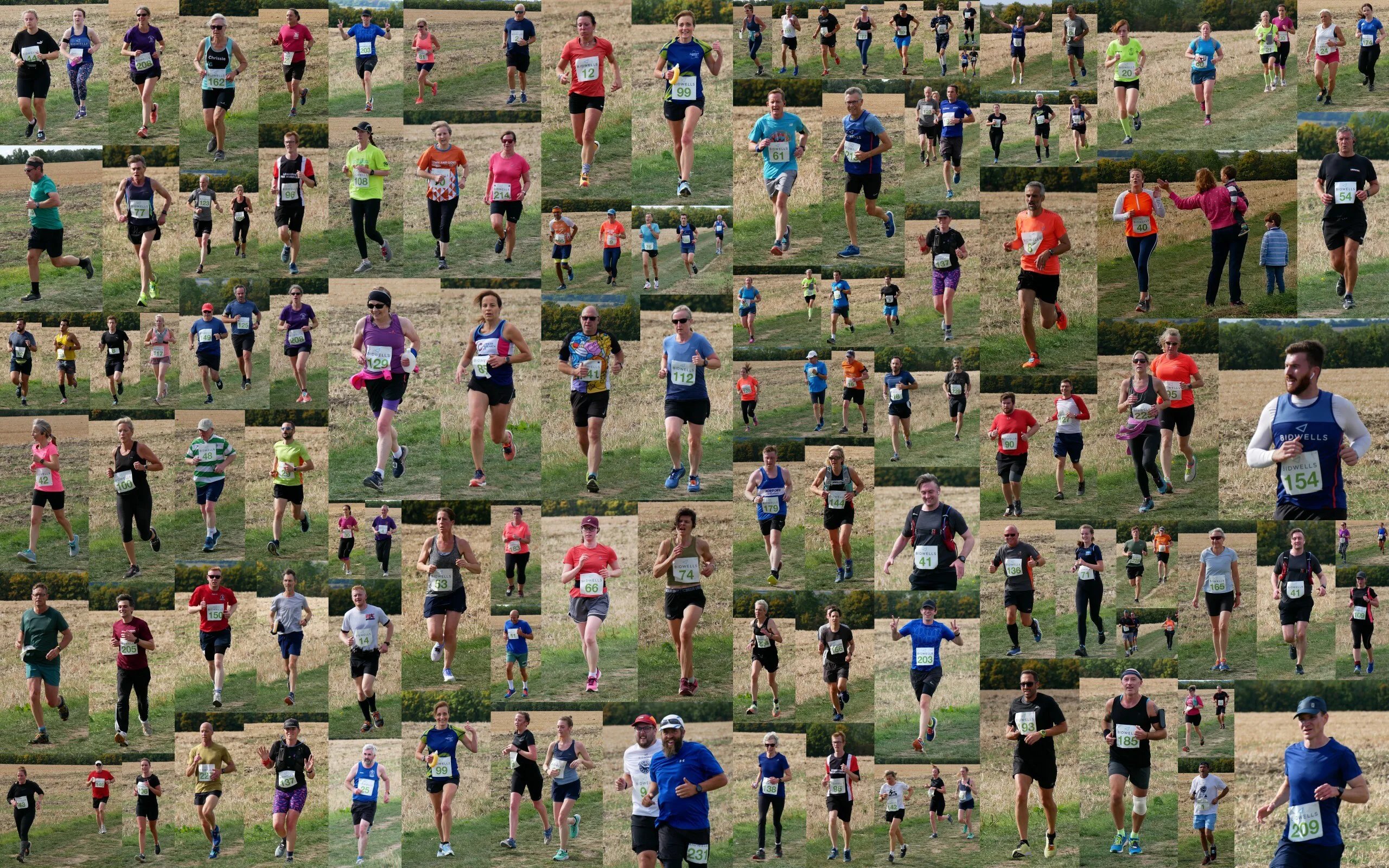 Grantchester Charity 10k & 3k sponsored by Dartington Wealth Management Logo