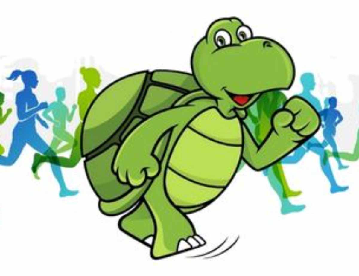 Green Turtle Cay Mini Marathon & 5K Logo
