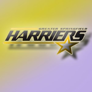 GSH Boston Marathon Chartered Bus Logo