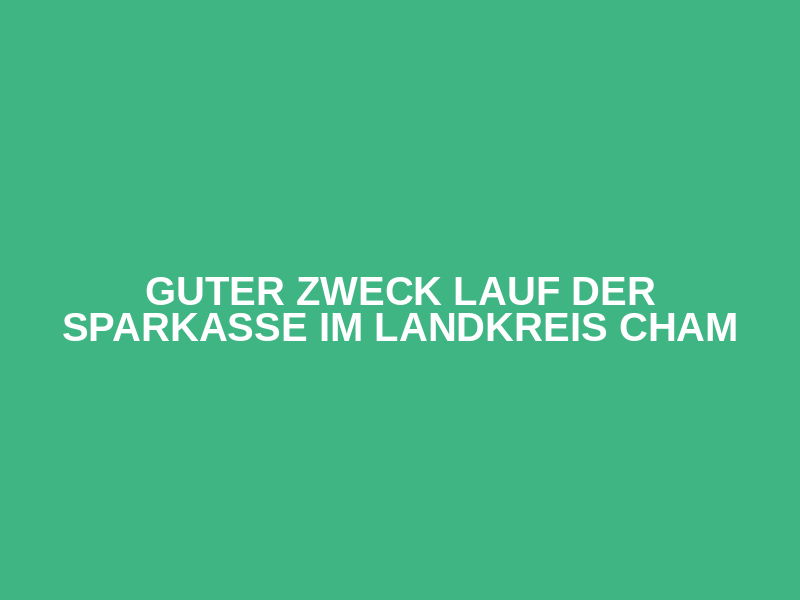 Guter Zweck Lauf der Sparkasse im Landkreis Cham