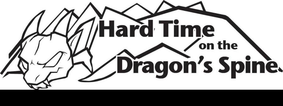 H9 Dragon Logo