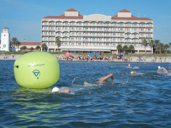 HammerHead Ocean Marathon