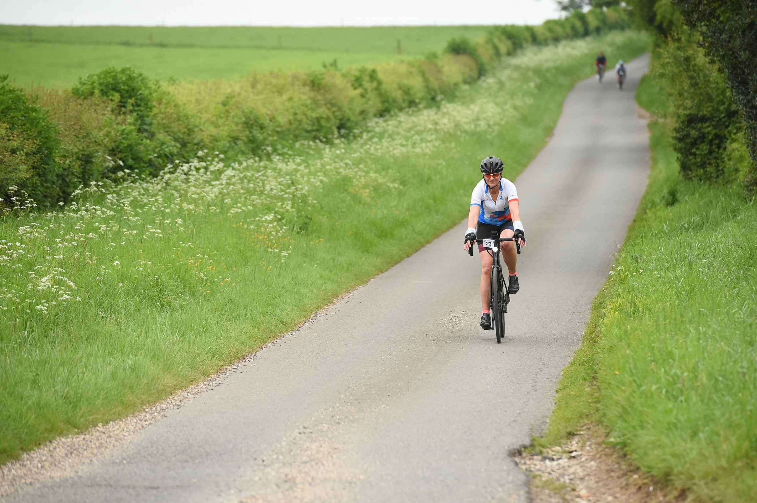 Hampshire Hilly Hundred Logo