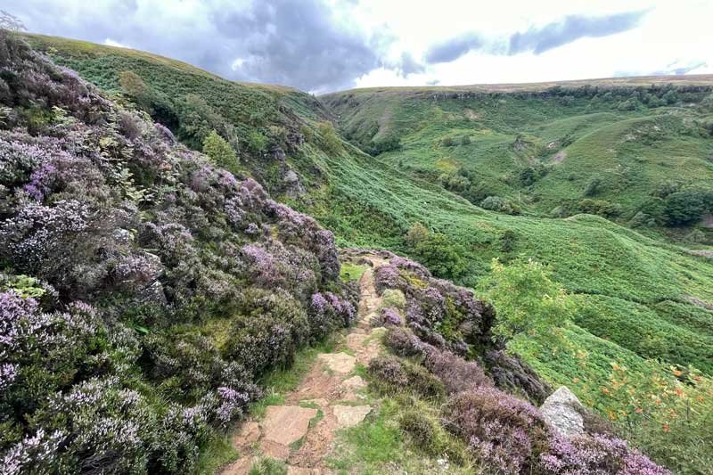 Hardmoors 26.2 Farndale Trail Marathon