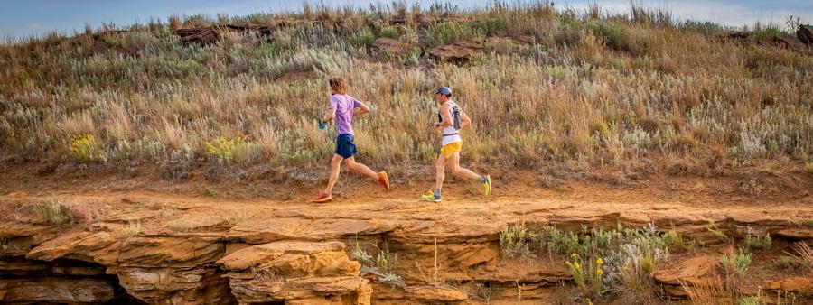 Hell Creek 100