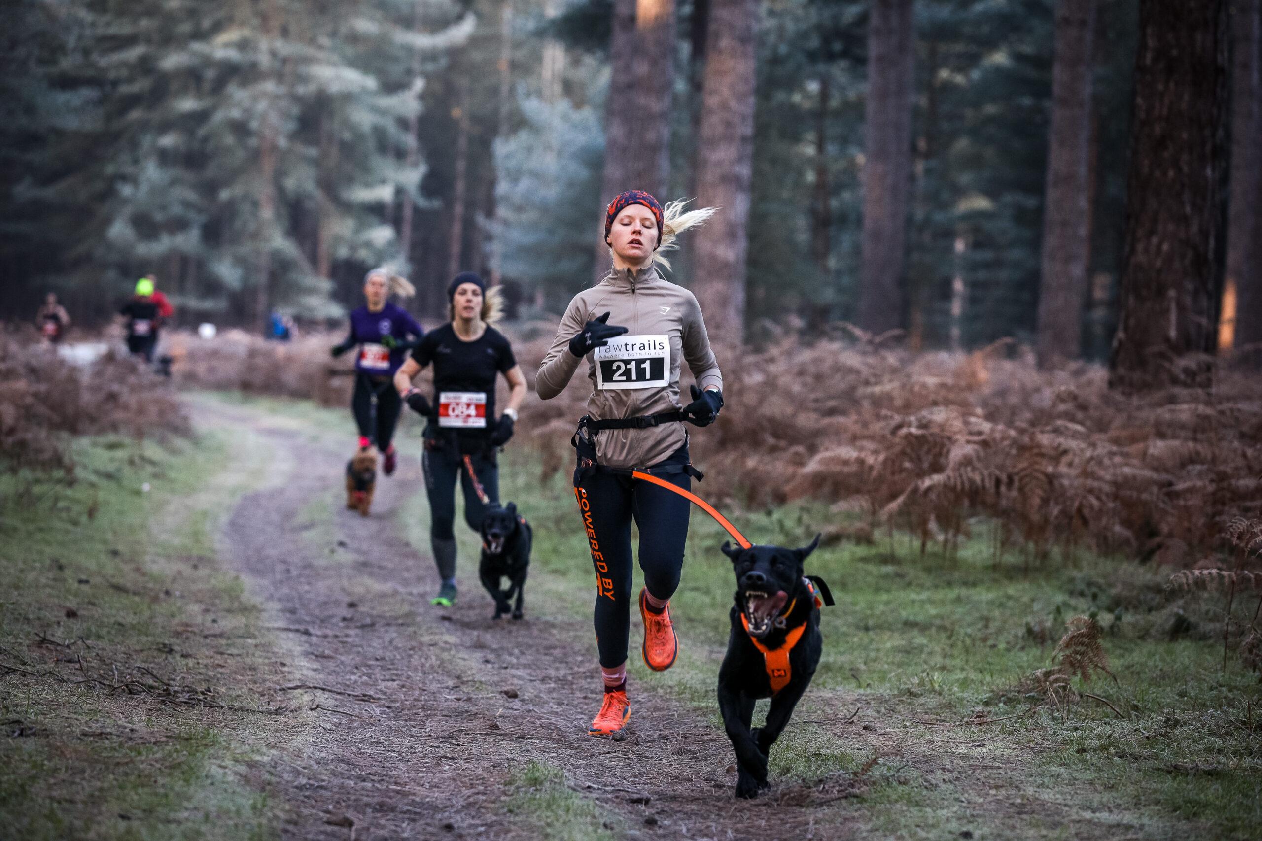 High Lodge Canicross 5k Series - Race 3 Logo