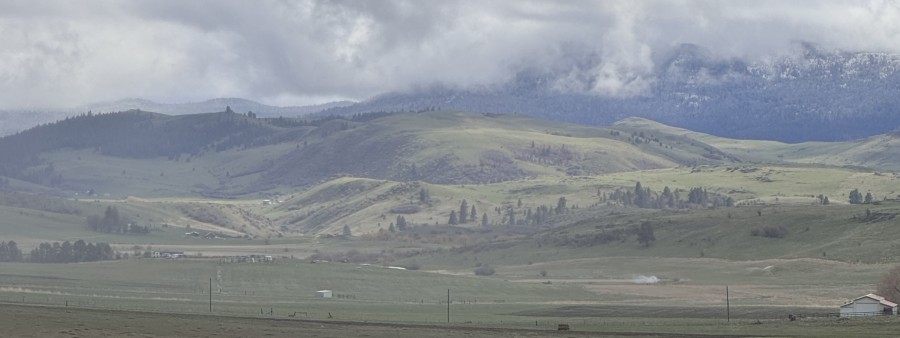 High Valley Half