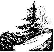 Highlands Sky 40 Mile Trail Run Logo