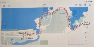 Hilo Bay Jingle Bell 5k Logo