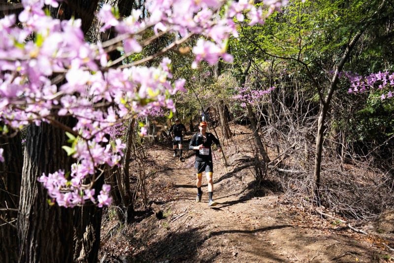 Hiroshima Ultra-Trail by UTMB - HIROSHIMA 25K Logo