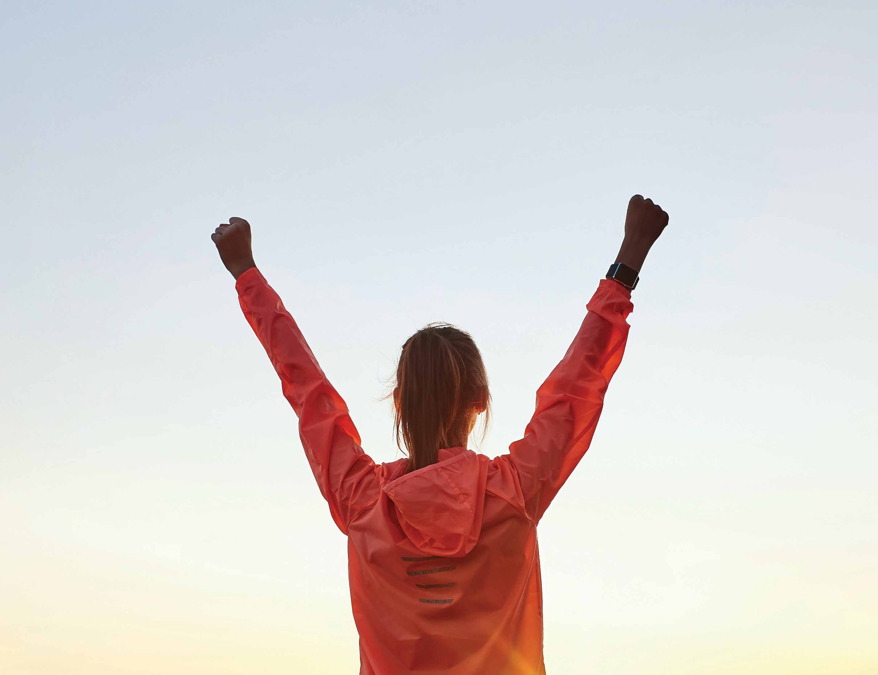 Hobart Run The Bridge Logo