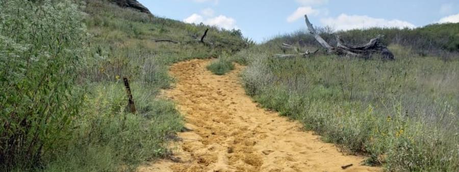 Horsethief Canyon Trail Run