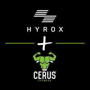 Hyrox Sim