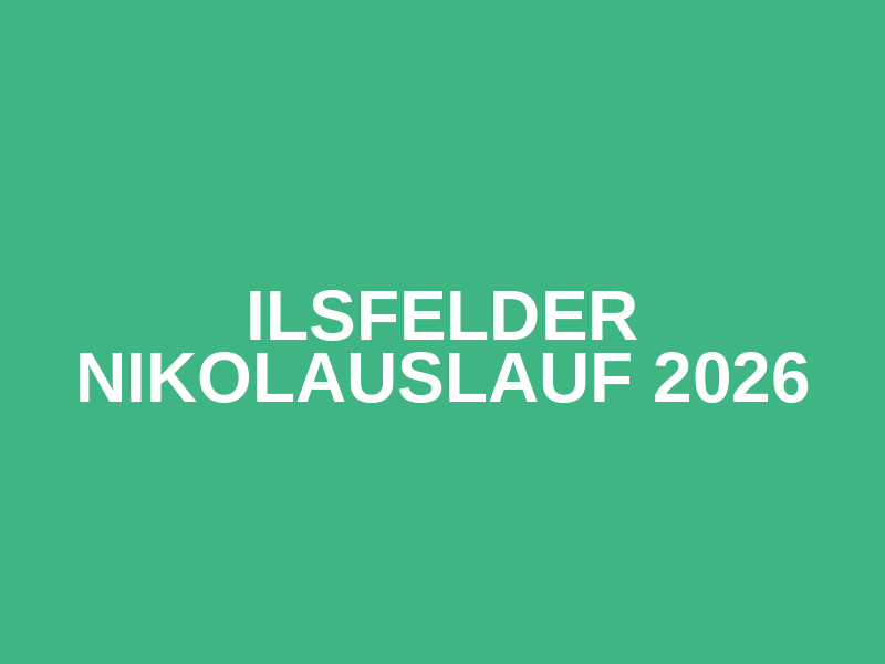 Ilsfelder Nikolauslauf 2026
