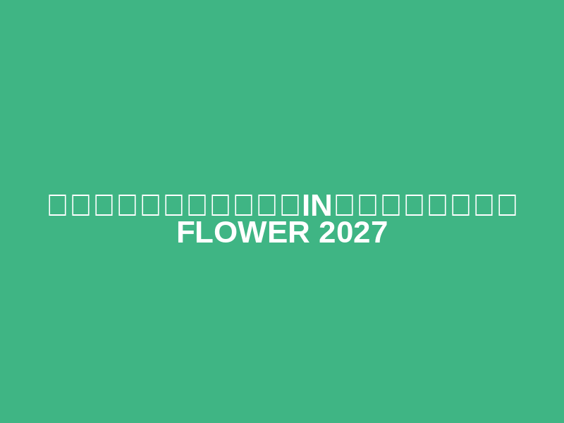Marathon Festival in Showa Kinen National Park FLOWER 2027 (マラソンフェスティバルin国営昭和記念公園 FLOWER 2027) Logo