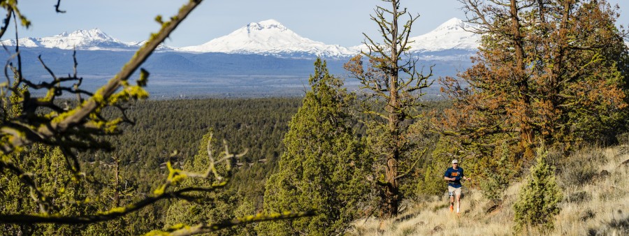 Incline Vista Logo