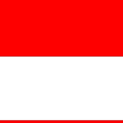 Indonesia Bali Marathon 3/6/2027 Logo