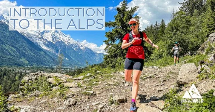 Introduction to the Alps - 4-6 June 2027 Logo