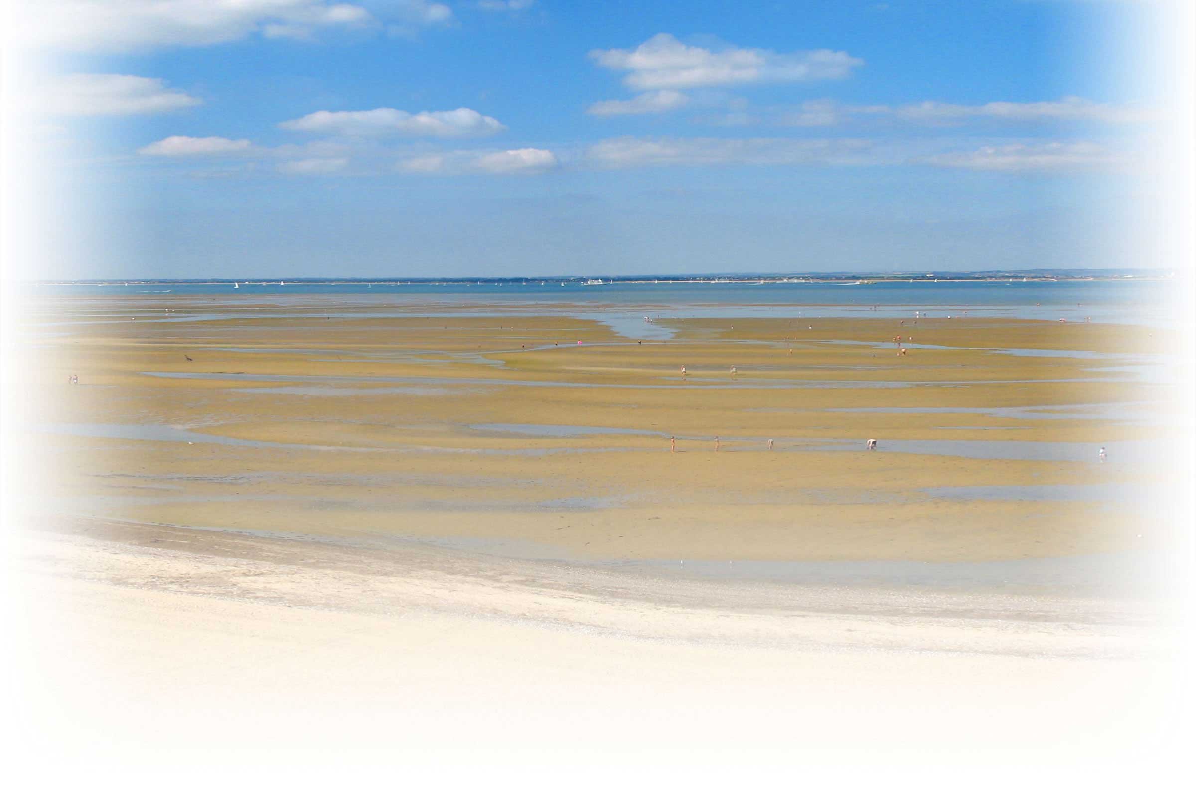 Isle of Wight Half Marathon Logo