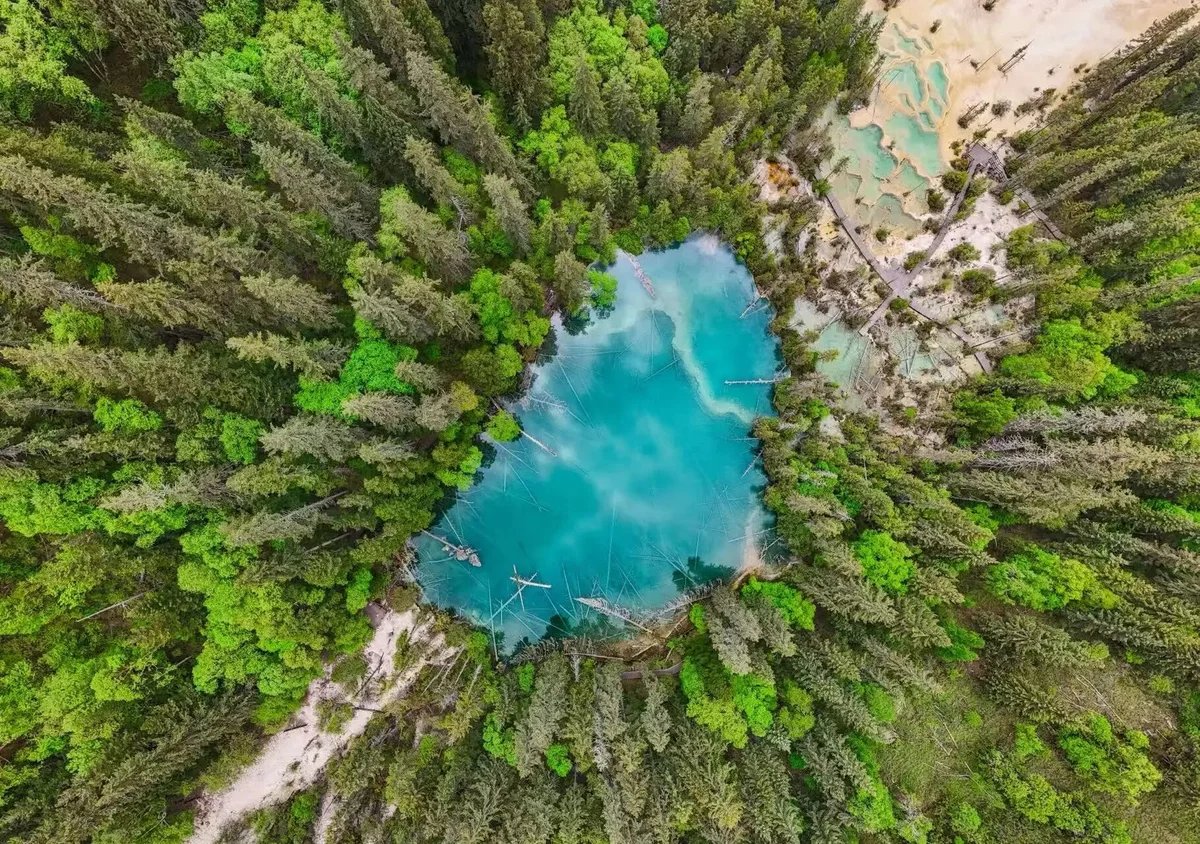 Jiuzhaigou 100 Utra Trail Logo