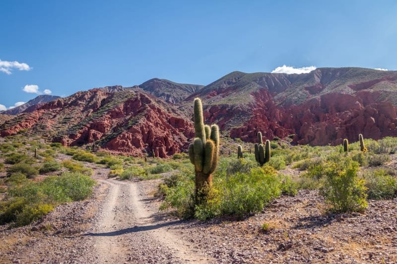 Jujuy Fuerza Sagrada by UTMB - HUAYRA 35K
