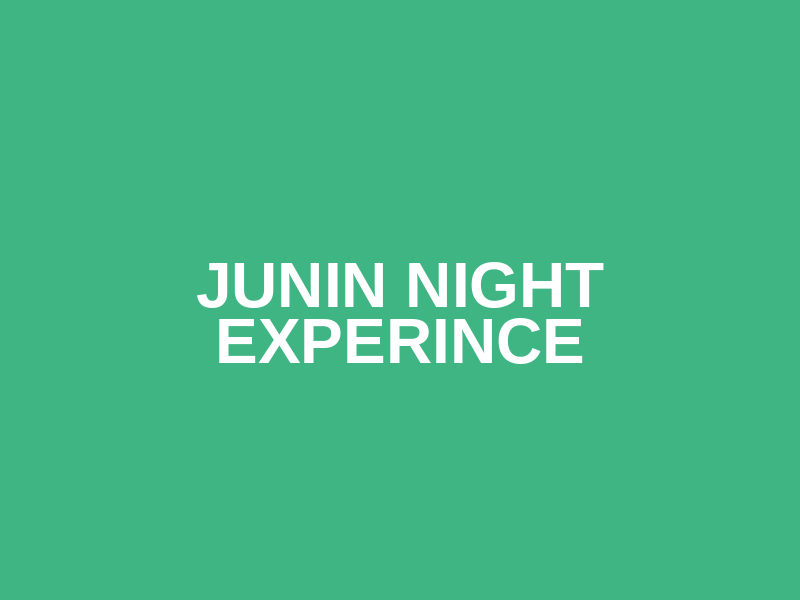 Junin Night Experince Logo