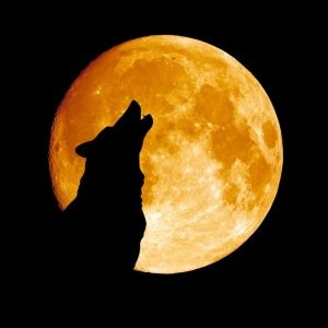 Kennekuk Road Runners - Howl at the Moon 8/4 hour Ultra Logo