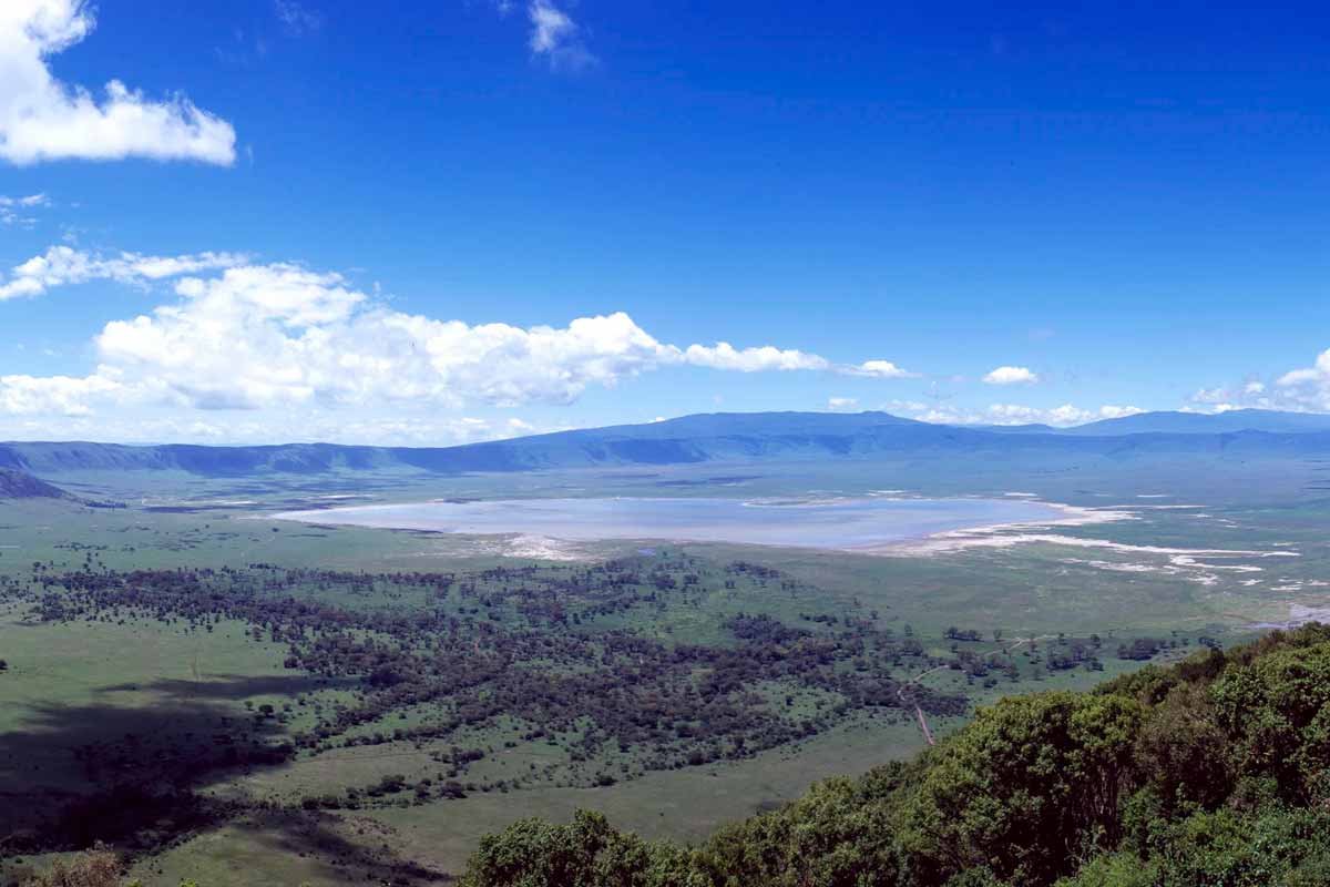 Kenya Wildlife Marathon and Half-Marathon Logo