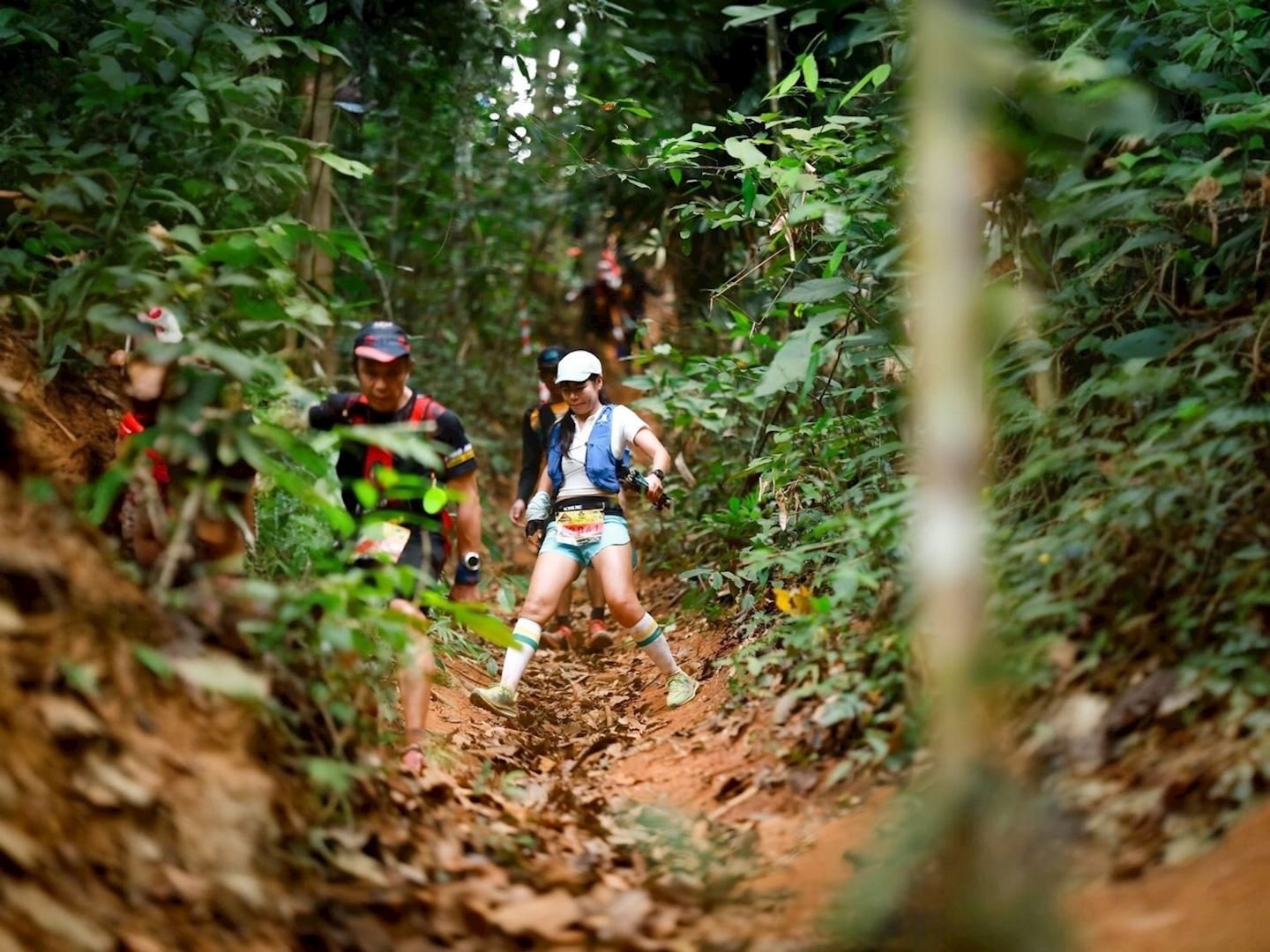 Khao Jook Dragon Trail 4.2 Rain Series