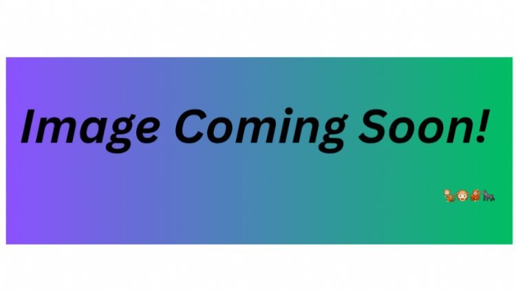 Kikazaru Challenge Day 2 Logo