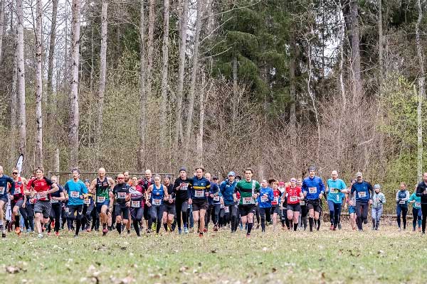 Kolmården Vertical Logo