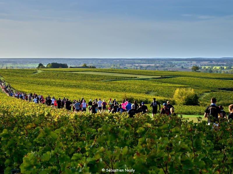 La Pouilly-Sancerre Logo