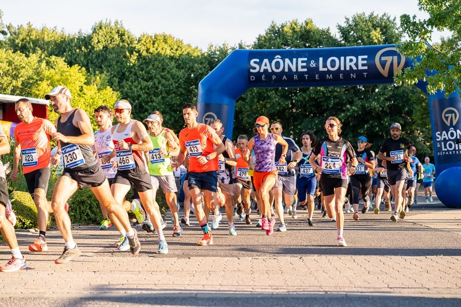 La sancéenne Logo