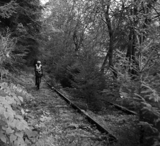 La Vosges Express 2026