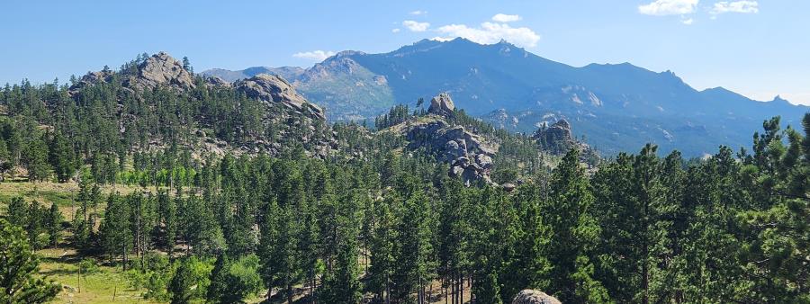 Laramie Peak Endurance Challenge Logo