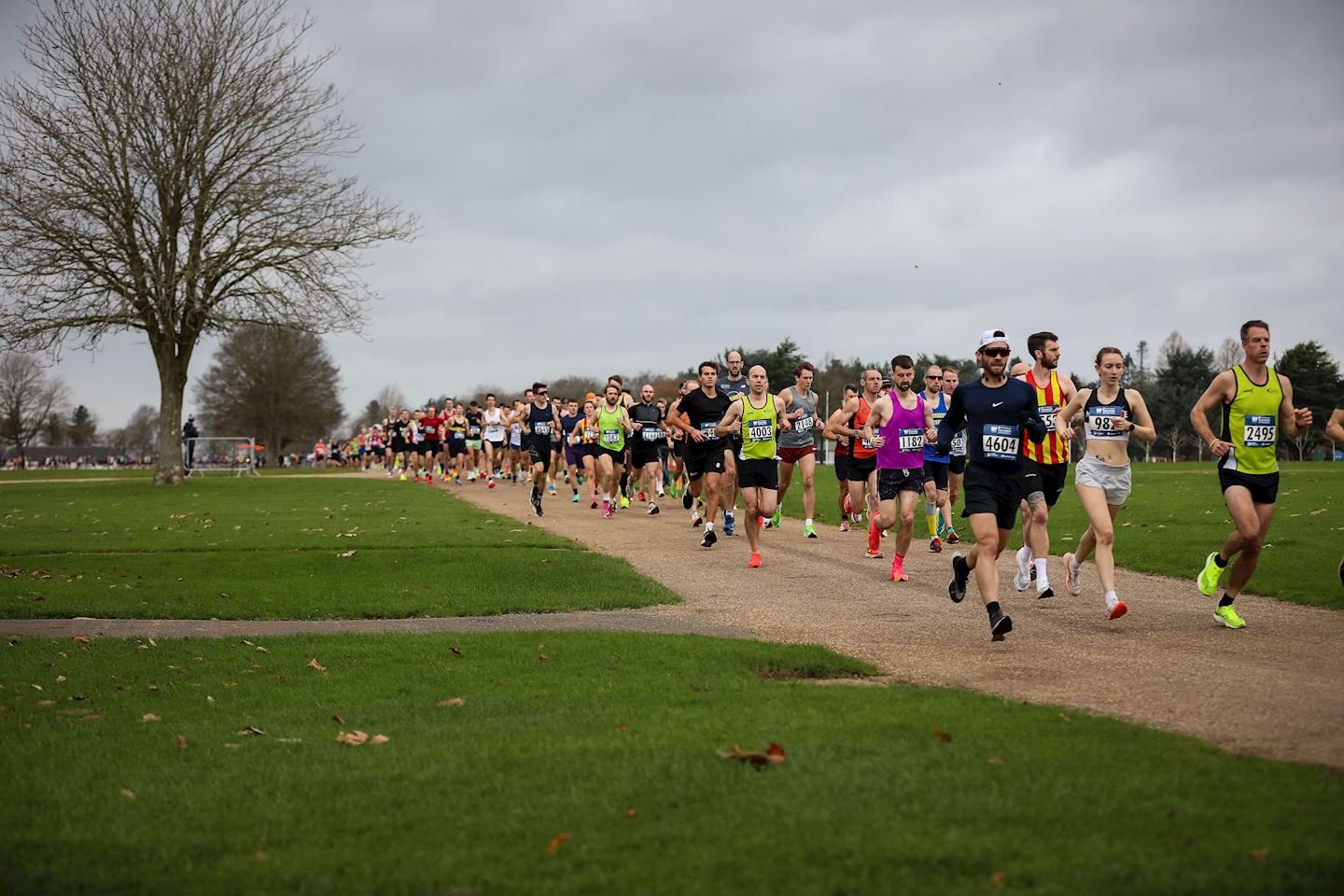 Larking Gowen Norwich Half Marathon Logo