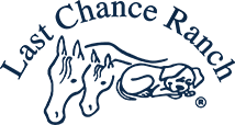 Last Chance Ranch 4th Annual Snouts and Tails 5K and `10 K Races