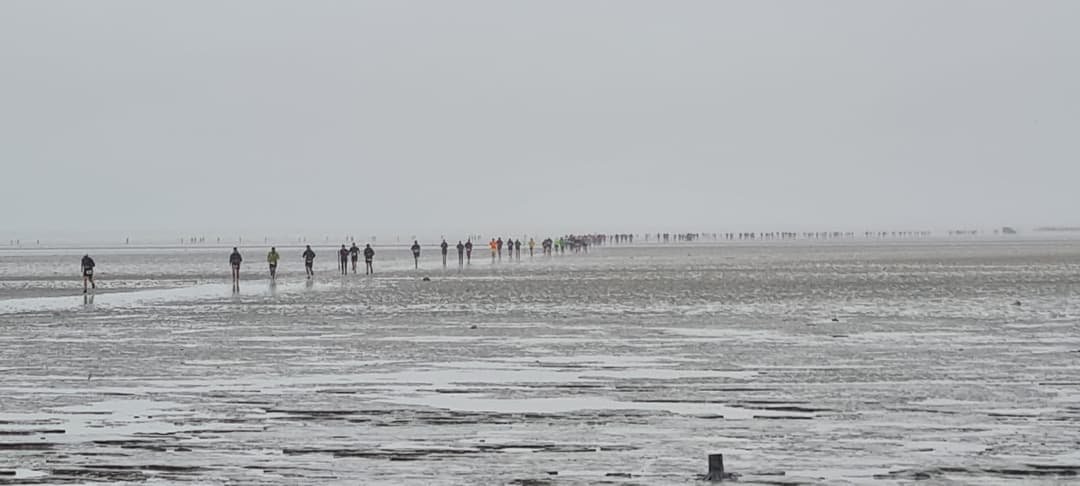 Le Trail des bouchots de la baie du Mont Saint-Michel 2026 Logo