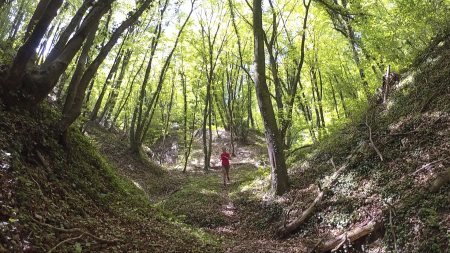 Les Foulées Upiennes l'Estivale