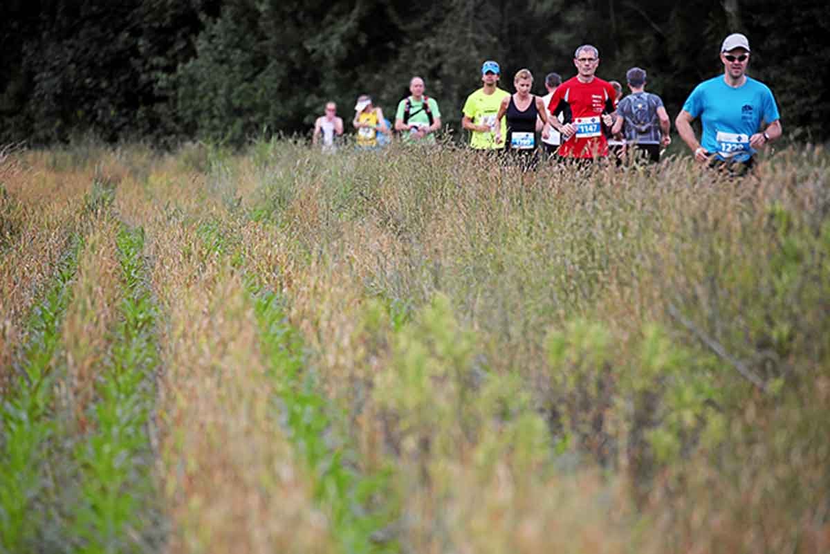 LGT Alpin Marathon Logo